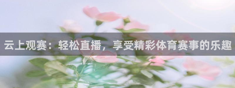 南宫ng28相信品牌的力量：云上观赛：轻松直播，享受精彩体育赛事的乐趣