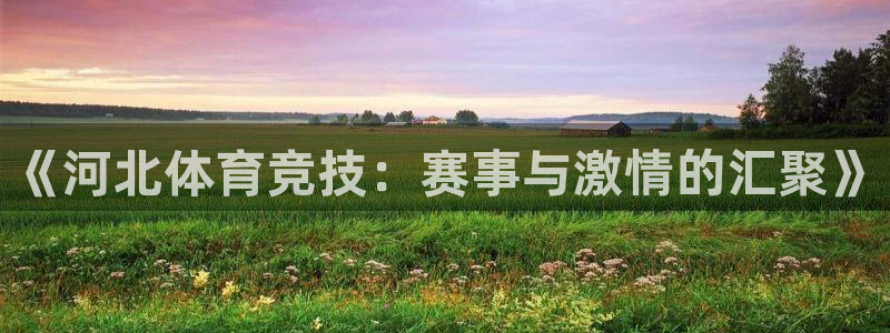 ng28app官网版下载：《河北体育竞技：赛事与激情的汇聚》