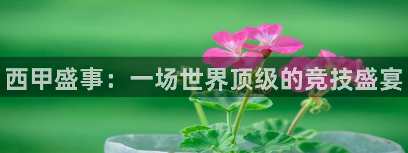 ng28下载安卓加拿大：西甲盛事：一场世界顶级的竞技盛宴